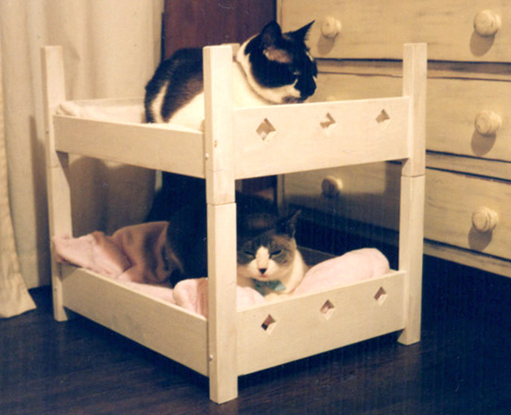 おいら ねこの にゃーた_e0239908_20531611.jpg
