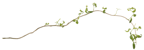 f0204110_9104620.png
