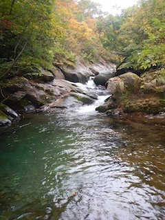 c0359615_20252377.jpg