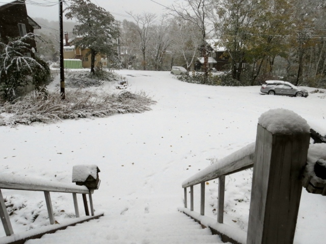 f0280717_15141162.jpg