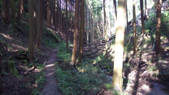e0348420_03524346.jpg