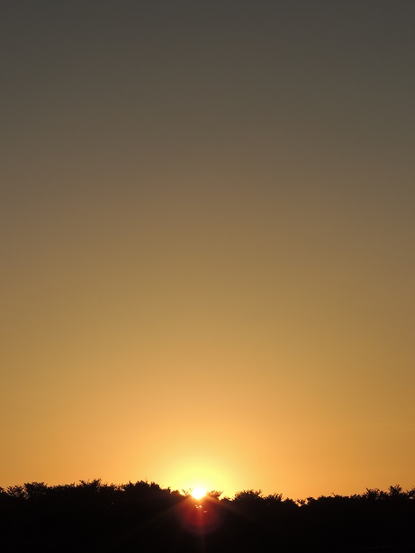 f0150620_7123942.jpg