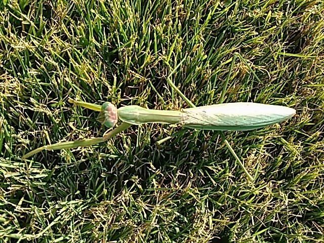 f0354923_23220101.jpg