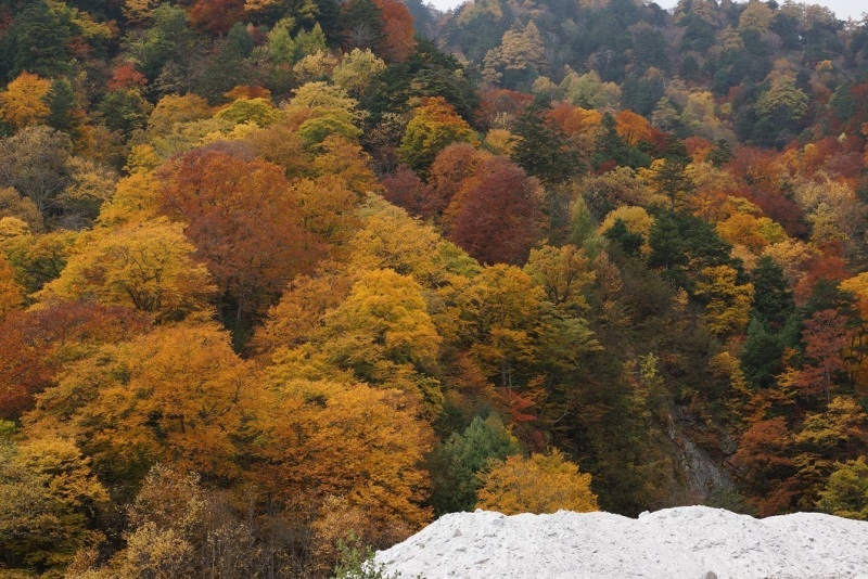 「秋」自然芸術の彩　　　：　　紅葉を見に_a0240324_22220969.jpg