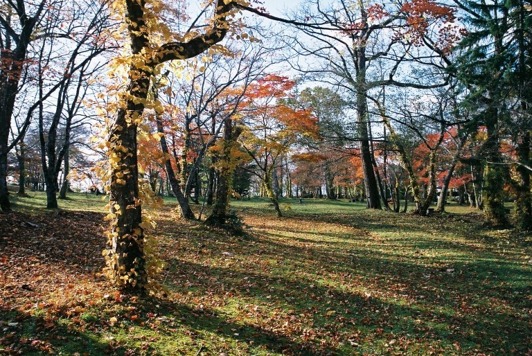 f0362725_17243196.jpg