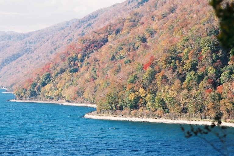 f0362725_17250068.jpg