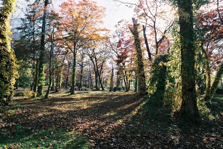 f0362725_17251077.jpg
