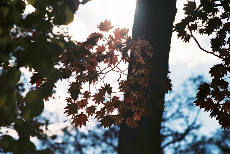 f0362725_17252751.jpg