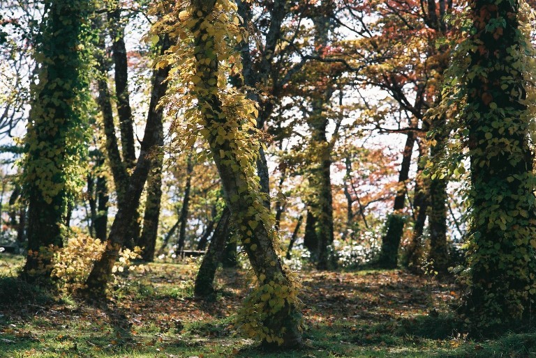 f0362725_17253826.jpg
