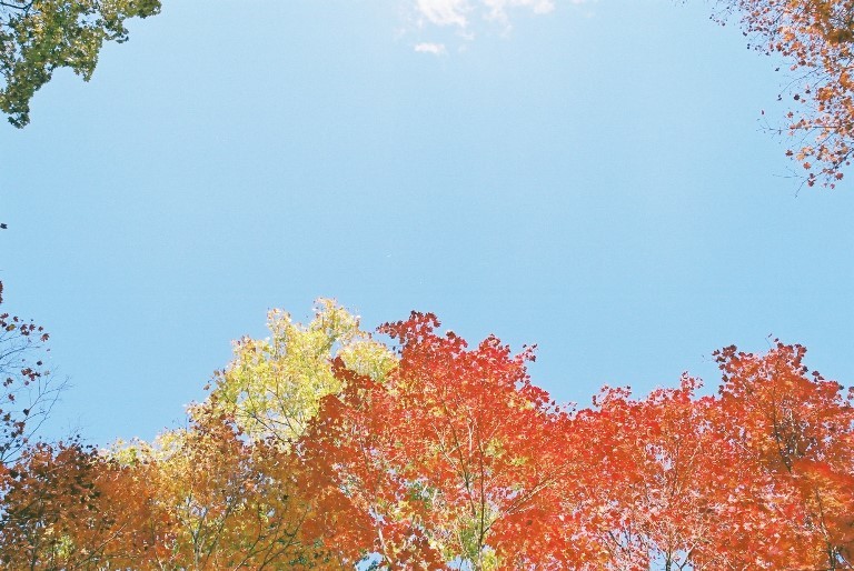 f0362725_17254681.jpg