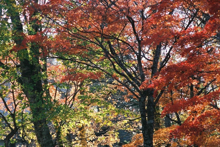 f0362725_17255998.jpg
