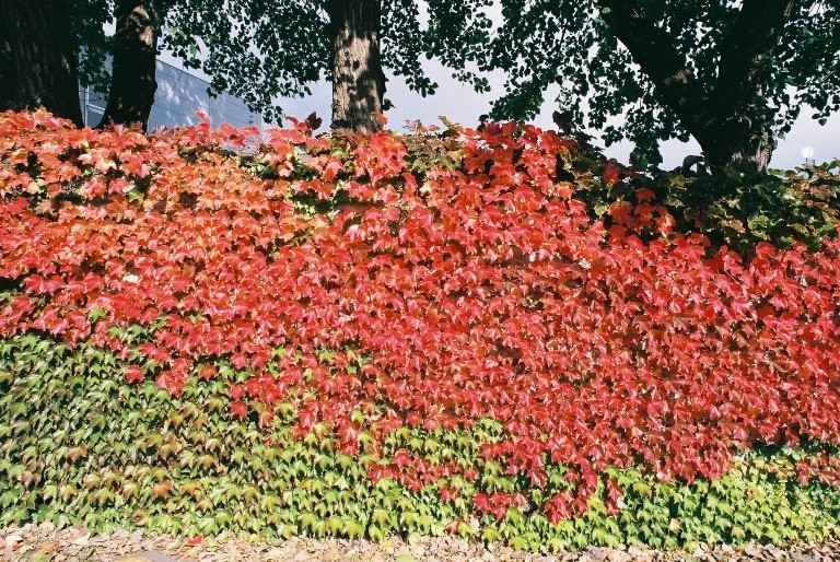 f0362725_17264397.jpg