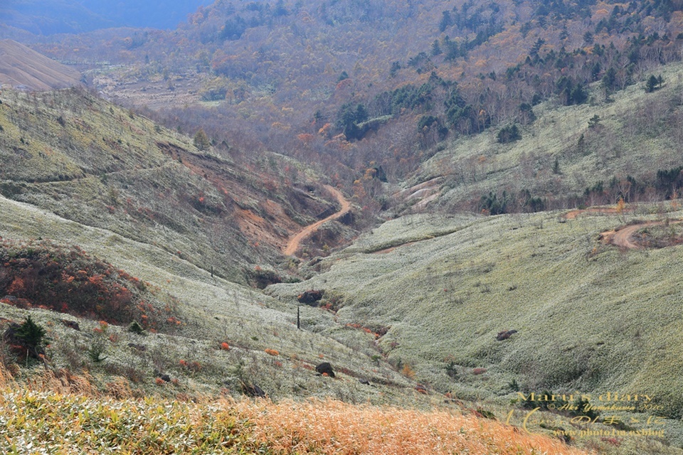 d0342426_00343477.jpg
