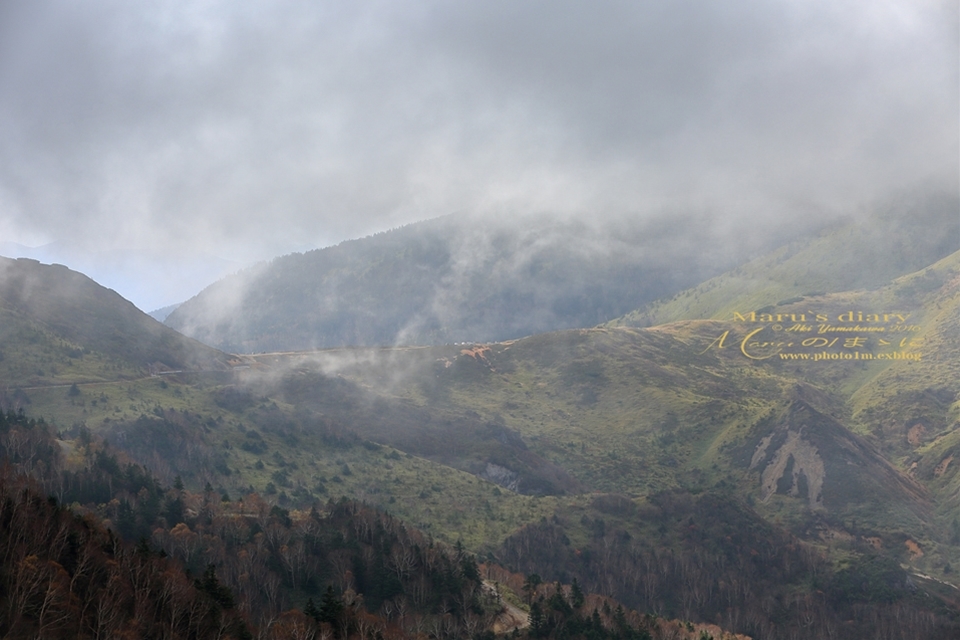 d0342426_00345976.jpg