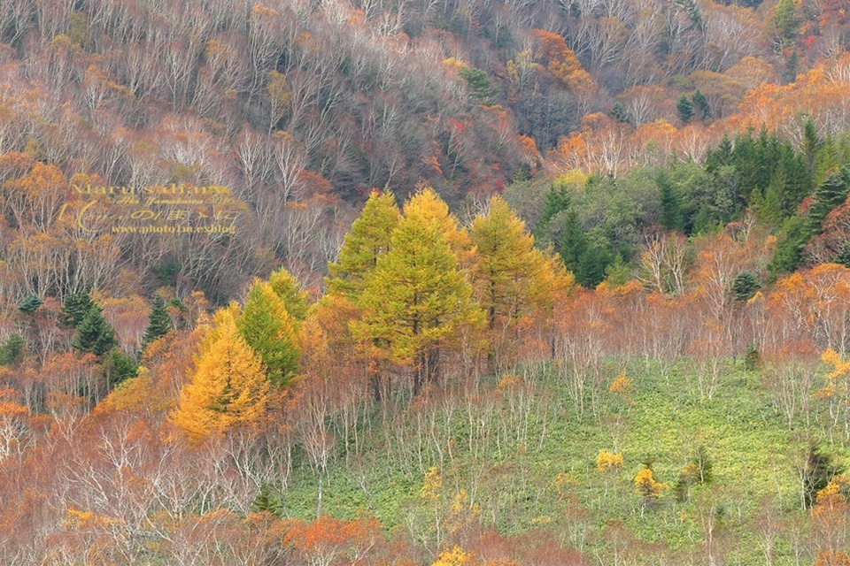 d0342426_00380211.jpg