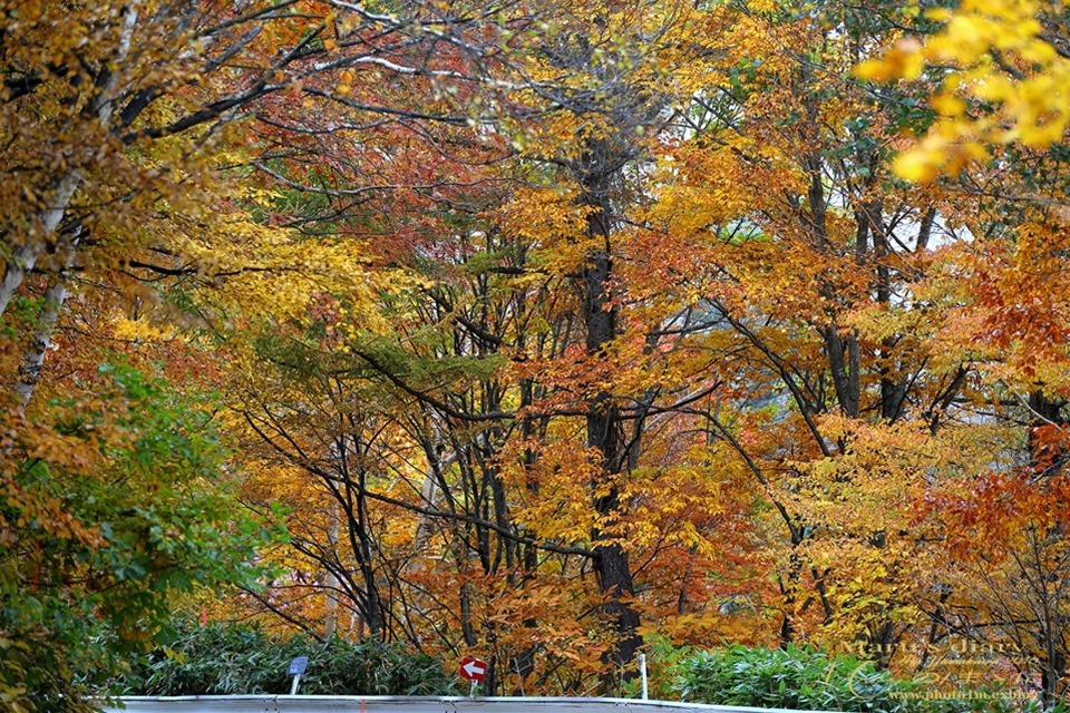 d0342426_00485497.jpg