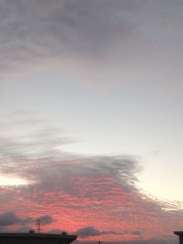 c0193430_16431800.jpg