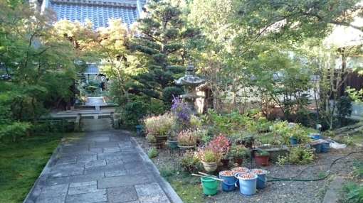 c0209334_22494532.jpg