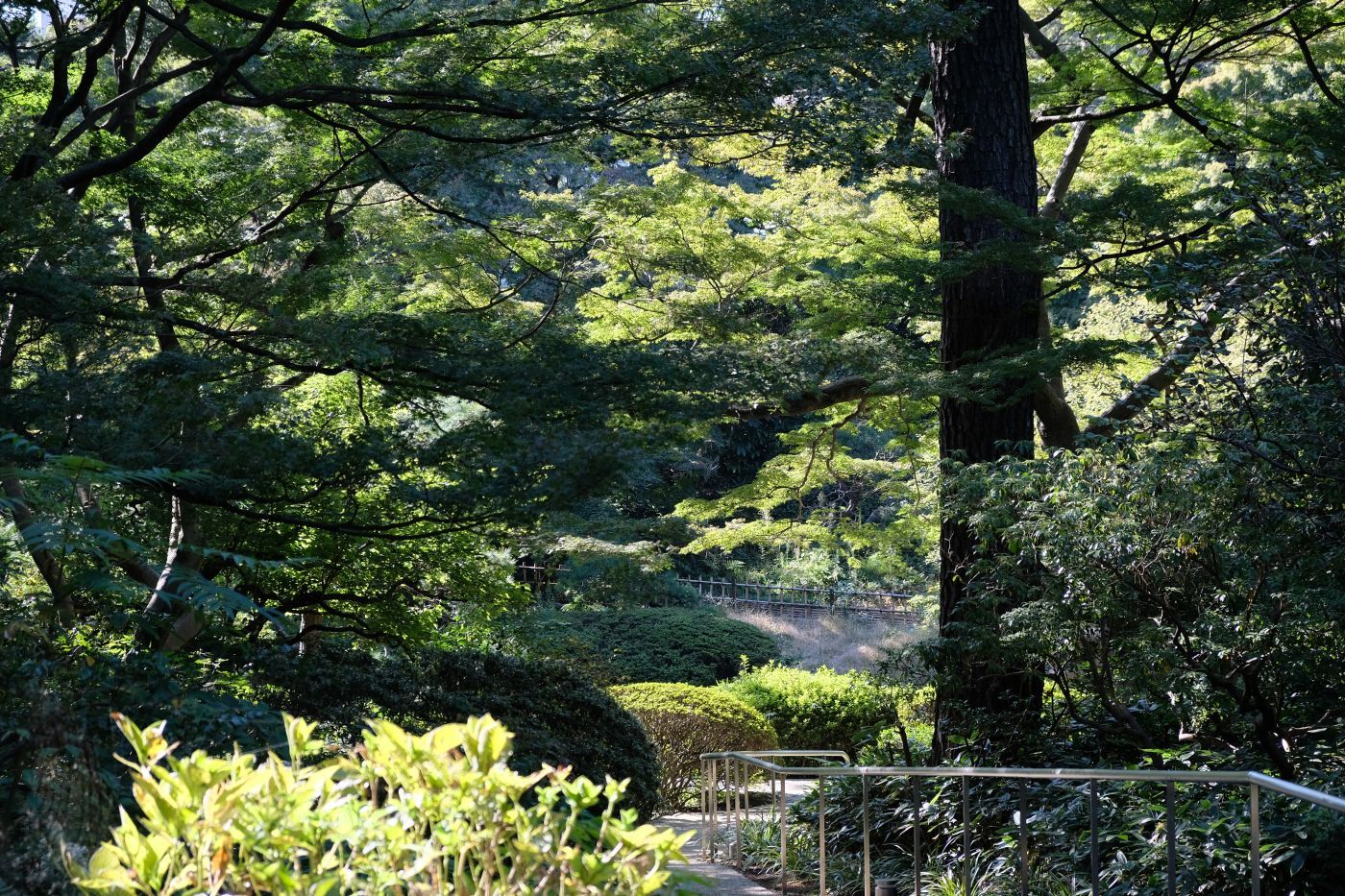 国重要文化財 旧朝香宮邸 東京都庭園美術館 アール デコ満載の異空間 見学のしかた 近代文化遺産見学案内所