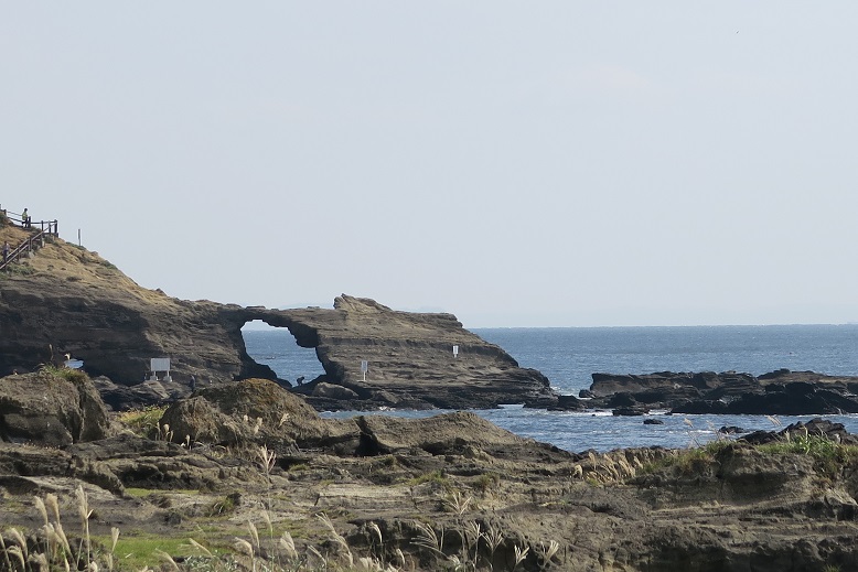 d0333943_1743388.jpg