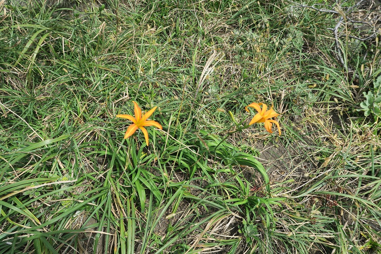 d0333943_183553.jpg