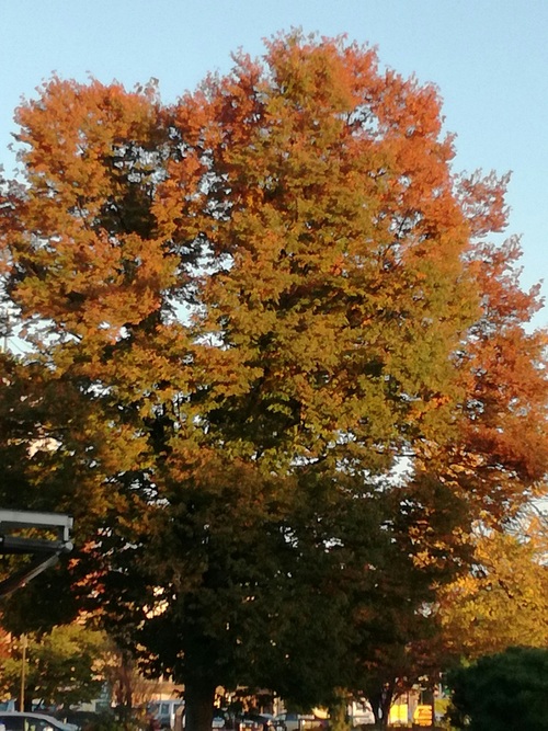 c0071847_16421672.jpg