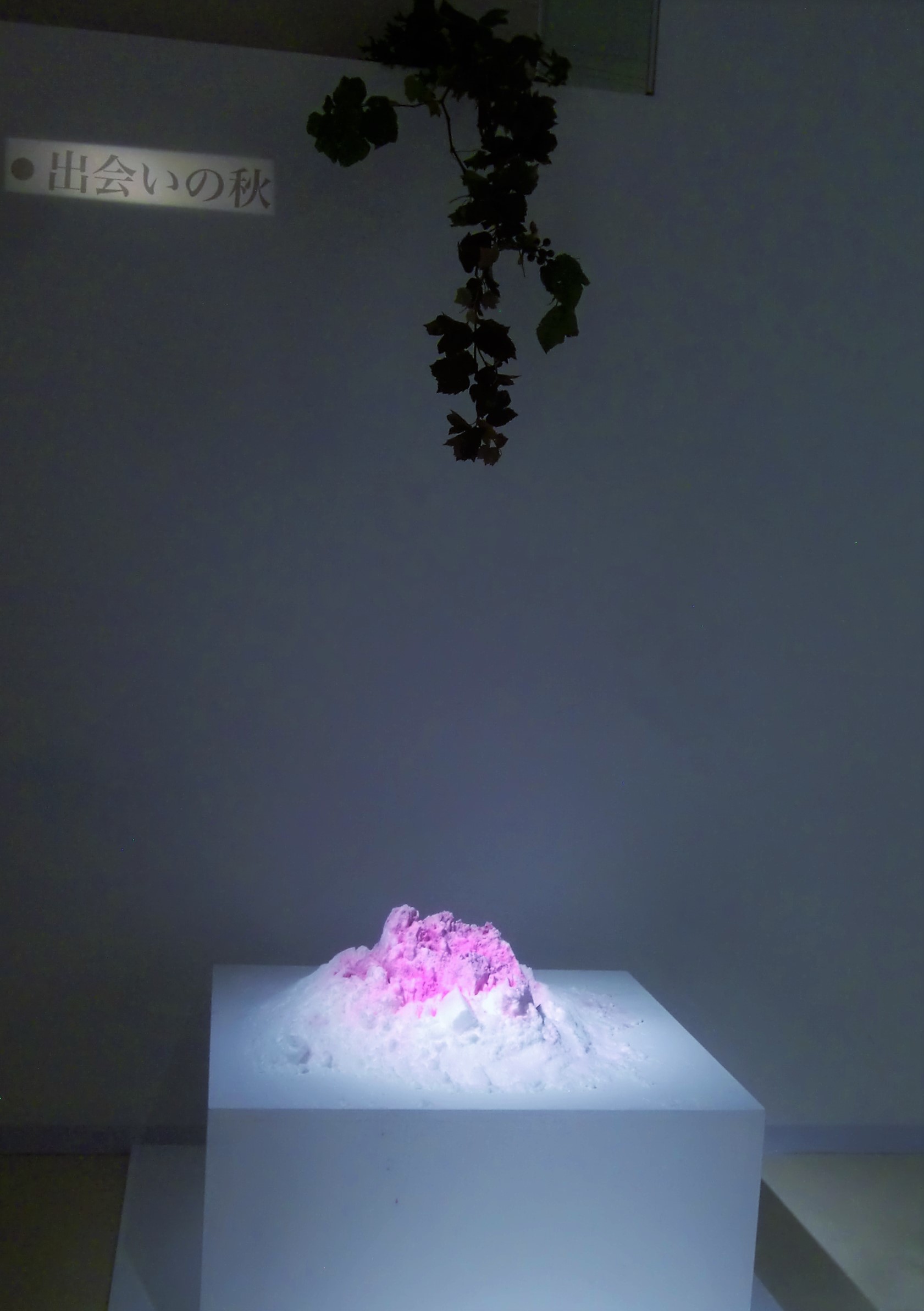 f0329849_21365793.jpg