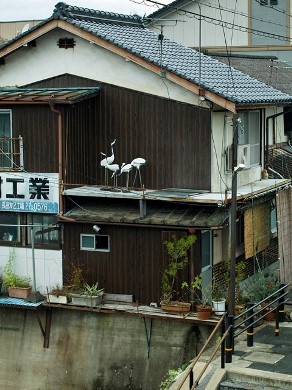 グルット丹後半島、日本海と伊根の舟屋・・・養父市・養父駅前から朽木小川へ_d0005250_18555670.jpg