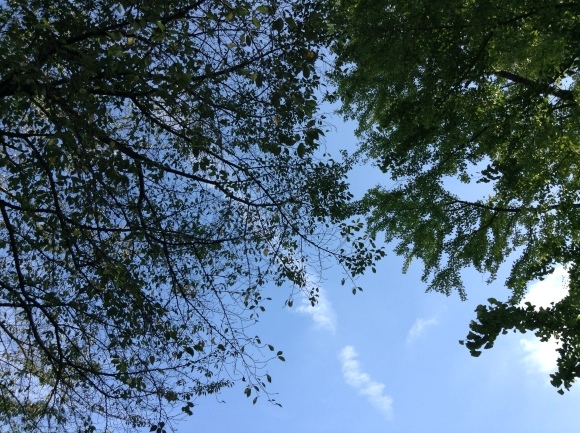 d0341450_18285196.jpeg