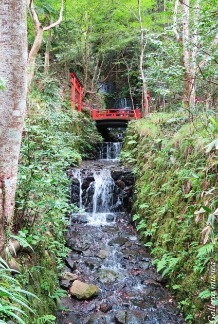 貴船神社　奥宮へ向かう編。〜あさきゆめみし 京を巡る旅〜_f0351853_18181806.jpg