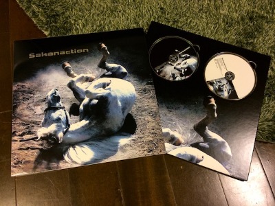 最近買ったお気に入りたち〜葉っぱブローチ・本・CD〜_f0089355_0325660.jpg