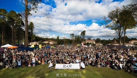 b0219358_16262374.jpg