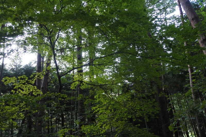 c0140260_23163433.jpg