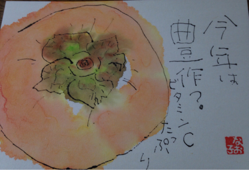 柿は消化が悪いのか??愚痴る柿_e0136066_16354342.jpg