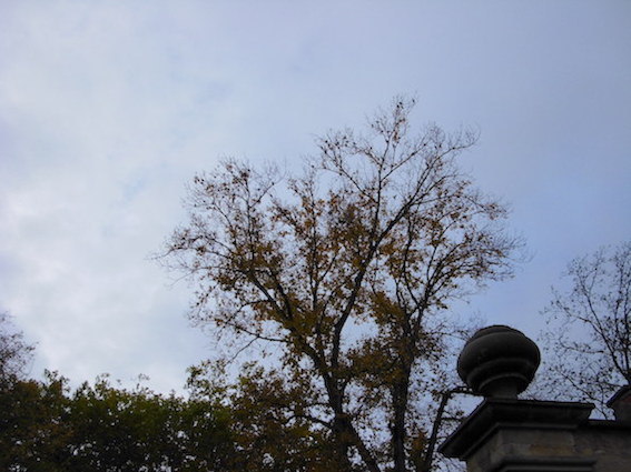 e0357367_21085131.jpg