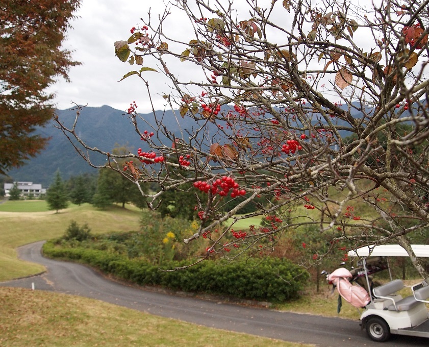 b0368673_21321000.jpg