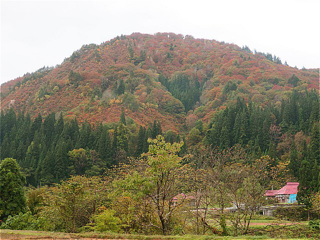 東北車中泊の旅最終日_f0186275_96958.jpg