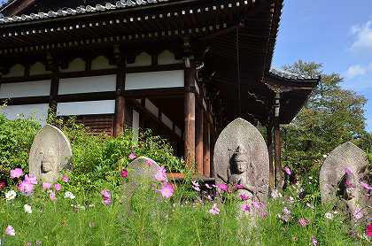 般若寺  石仏と共に　②_c0229483_1314079.jpg