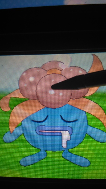 ポケパルレマスターを目指して