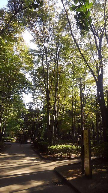 とある秋深し休日・・・_b0210688_17023471.jpg