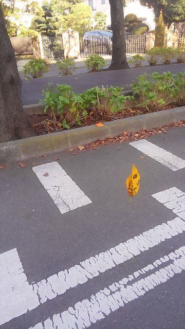とある秋深し休日・・・_b0210688_17051280.jpg