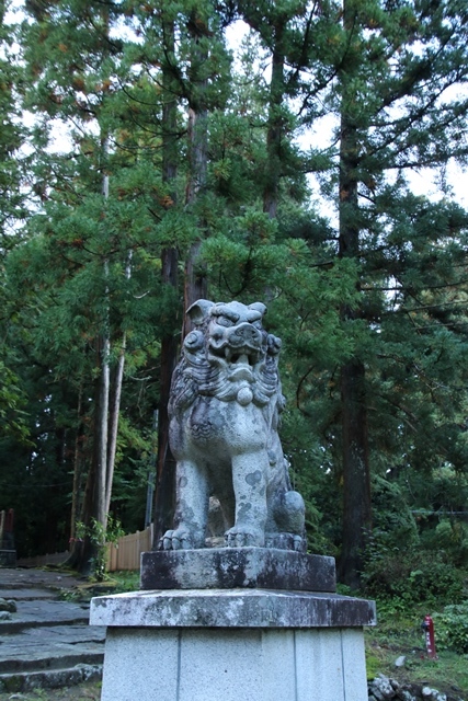 d0181492_07434318.jpg