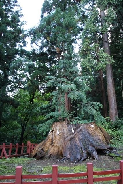 d0181492_07462994.jpg