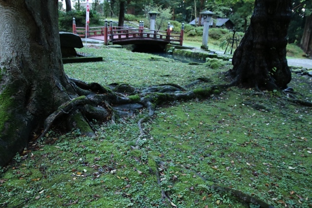 d0181492_07504871.jpg