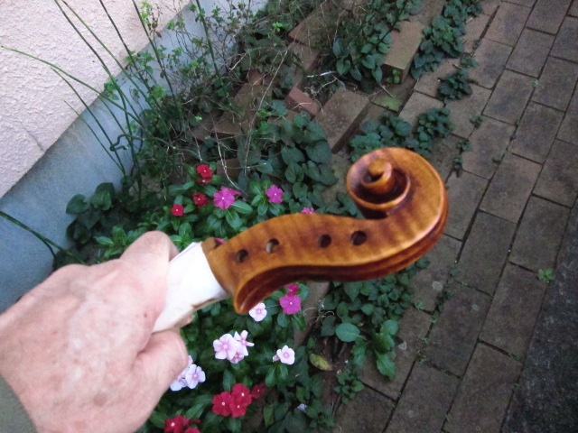 d0040395_1622534.jpg