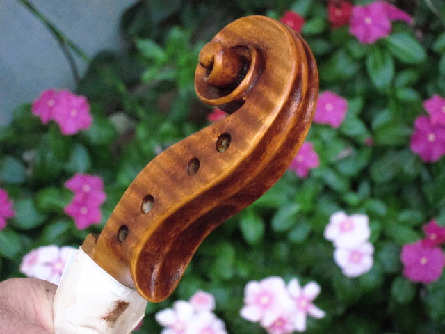 Guarneri del Gesù 1744 \"Cariplo\"_d0040395_1624336.jpg