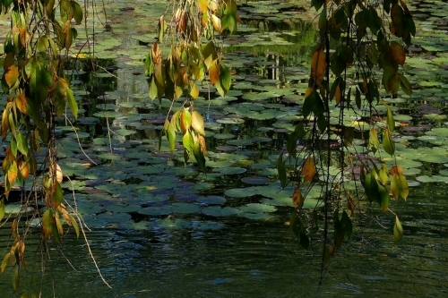 e0304001_20230013.jpg