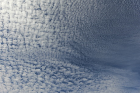 a0203003_14422311.jpg