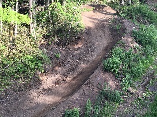 f0164003_17505510.jpg