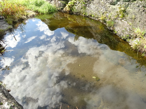 e0258608_20161195.jpg